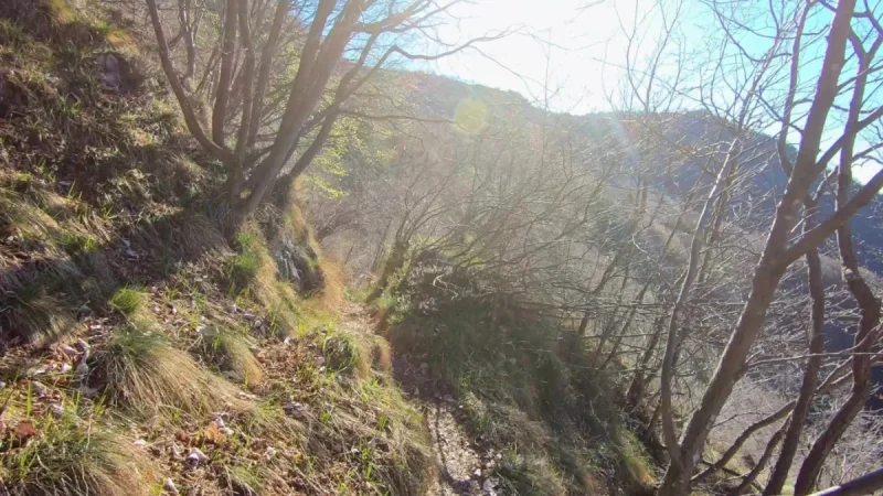 Pizzo Cerro e Castel Regina da Cavaglia – Sentiero – foto 15