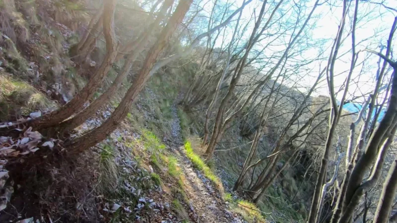 Pizzo Cerro e Castel Regina da Cavaglia – Sentiero – foto 16