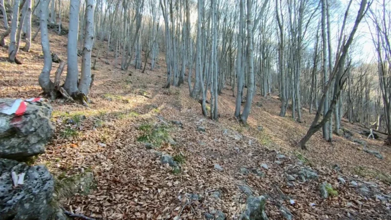 Pizzo Cerro e Castel Regina da Cavaglia – Sentiero – foto 24