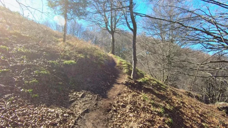 Pizzo Cerro e Castel Regina da Cavaglia – Sentiero – foto 26