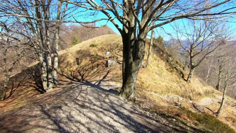 Pizzo Cerro e Castel Regina da Cavaglia – Pizzo Cerro (1285 m) – foto 4