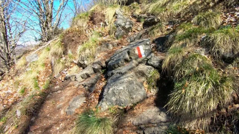 Pizzo Cerro e Castel Regina da Cavaglia – Pizzo Cerro (1285 m) – foto 7