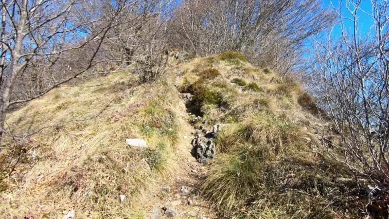 Pizzo Cerro e Castel Regina da Cavaglia – Pizzo Cerro (1285 m) – foto 9