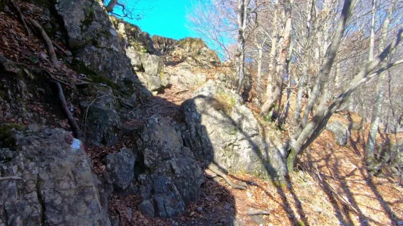 Pizzo Cerro e Castel Regina da Cavaglia – Pizzo Cerro (1285 m) – foto 12