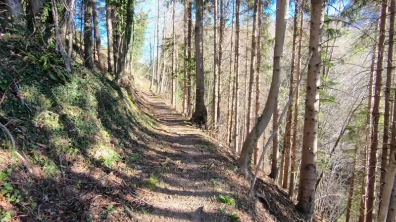 Pizzo Cerro e Castel Regina da Cavaglia – Sentiero – foto 5