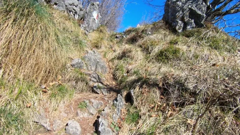Pizzo Cerro e Castel Regina da Cavaglia – Pizzo Cerro (1285 m) – foto 14