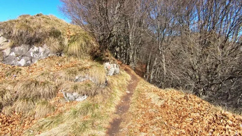 Pizzo Cerro e Castel Regina da Cavaglia – Pizzo Cerro (1285 m) – foto 20