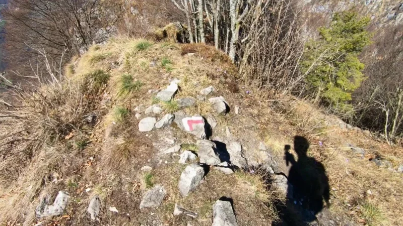 Pizzo Cerro e Castel Regina da Cavaglia – Discesa con anello – foto 2