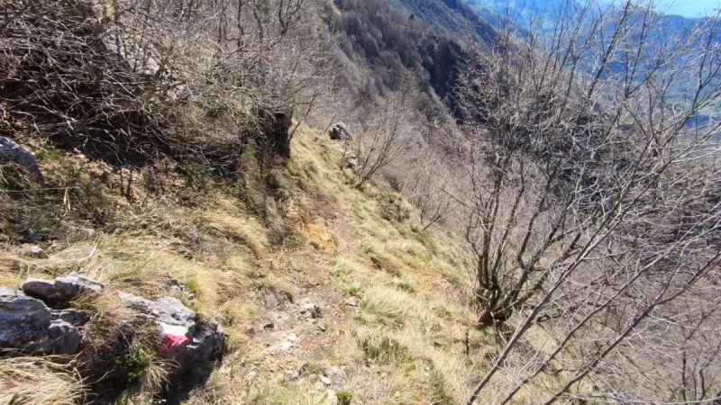 Pizzo Cerro e Castel Regina da Cavaglia – Discesa con anello – foto 6