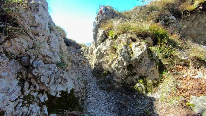 Pizzo Cerro e Castel Regina da Cavaglia – Discesa con anello – foto 11