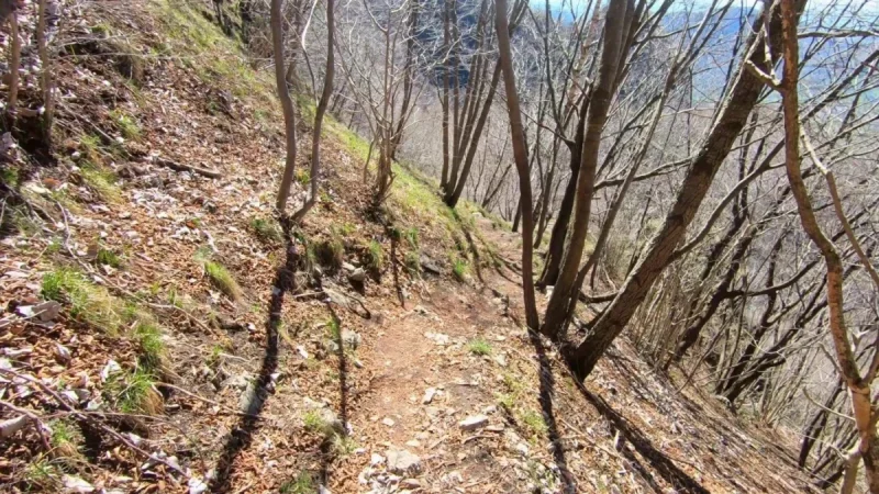 Pizzo Cerro e Castel Regina da Cavaglia – Discesa con anello – foto 12