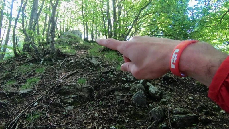 Monte Vaccareggio da Valpiana (anello) – Discesa con anello – foto 11