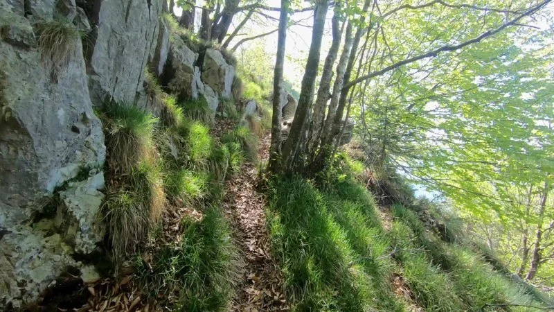 Monte Vaccareggio da Valpiana (anello) – Discesa con anello – foto 12