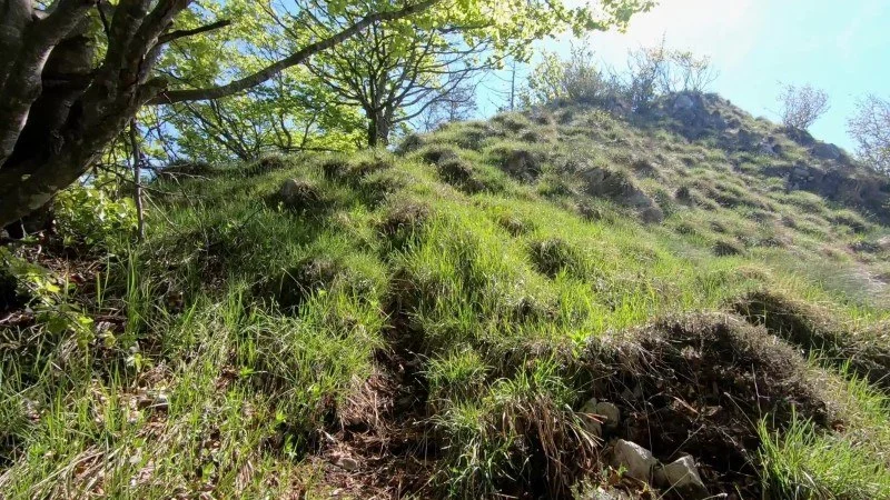 Monte Vaccareggio da Valpiana (anello) – Discesa con anello – foto 18