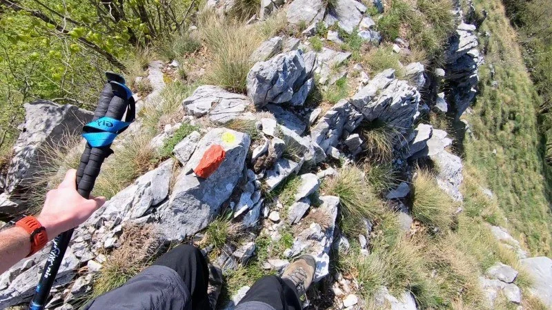 Monte Vaccareggio da Valpiana (anello) – Discesa con anello – foto 19