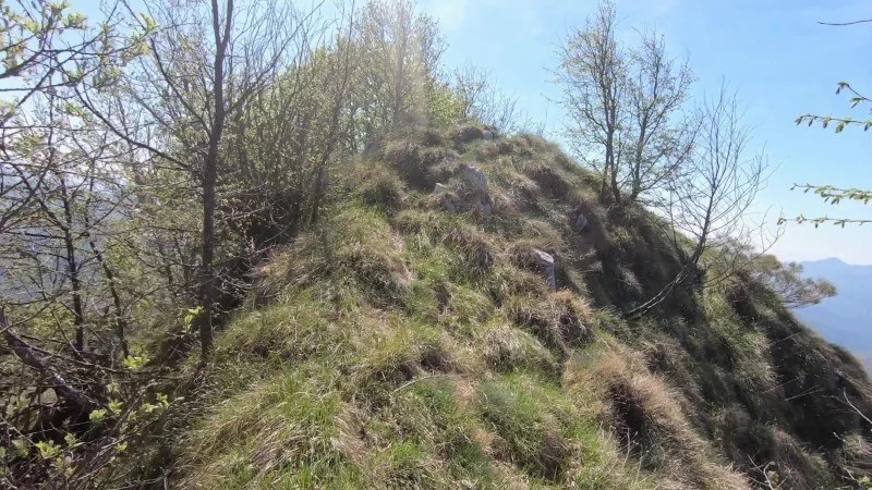 Monte Vaccareggio da Valpiana (anello) – Discesa con anello – foto 23