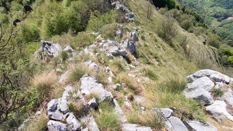 Monte Vaccareggio da Valpiana (anello) – Discesa con anello – foto 24