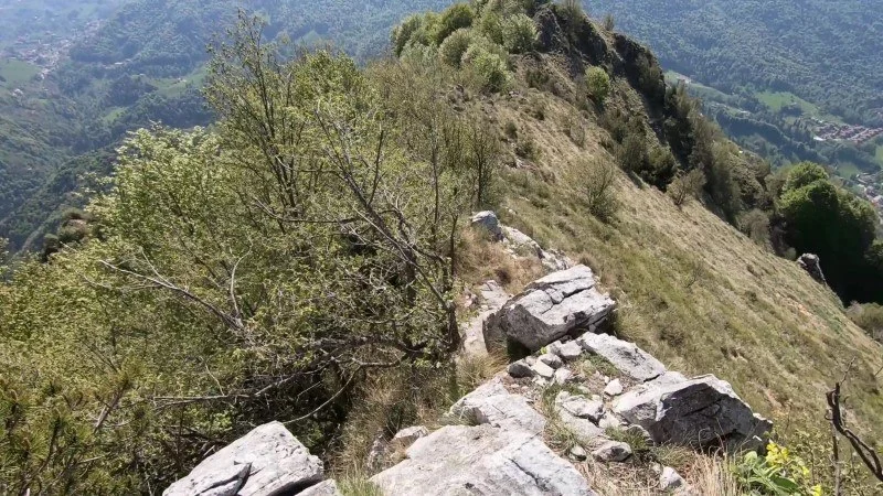 Monte Vaccareggio da Valpiana (anello) – Discesa con anello – foto 25