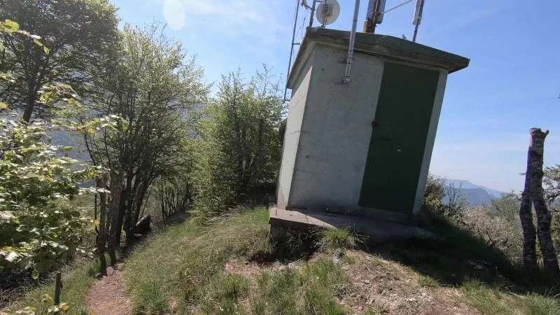 Monte Vaccareggio da Valpiana (anello) – Discesa con anello – foto 30