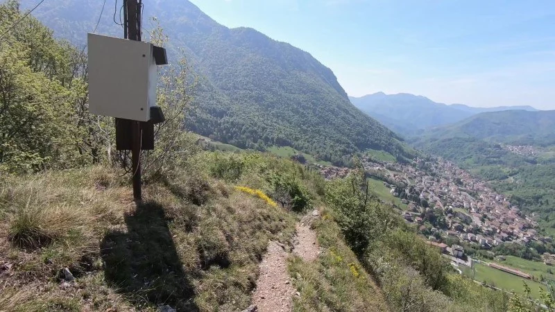 Monte Vaccareggio da Valpiana (anello) – Discesa con anello – foto 31