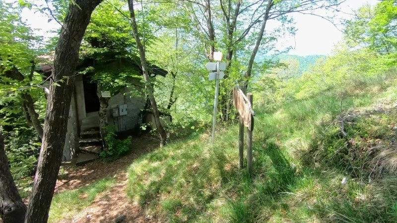 Monte Vaccareggio da Valpiana (anello) – Discesa con anello – foto 32