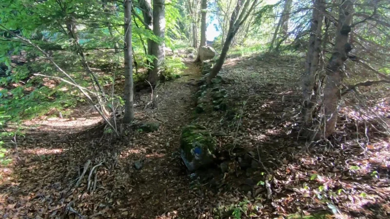 Monte Vaccareggio da Valpiana (anello) – Sentiero – foto 32