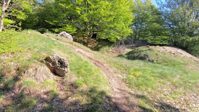 Monte Vaccareggio da Valpiana (anello) – Sentiero – foto 41