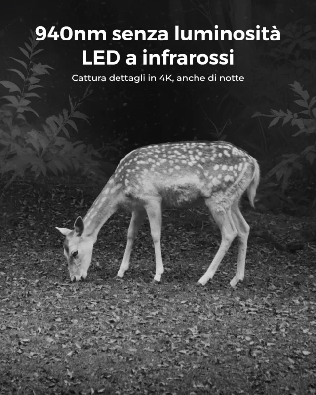 Reolink TrackMix LTE infrarossi