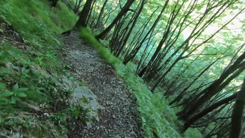 Monte Zucco da San Pellegrino Terme – Discesa con anello – foto 12
