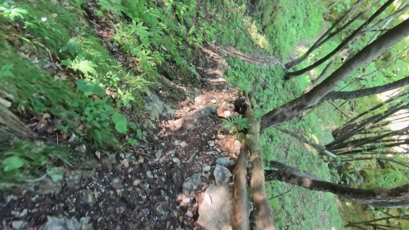 Monte Zucco da San Pellegrino Terme – Discesa con anello – foto 14
