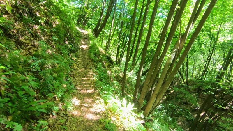 Monte Zucco da San Pellegrino Terme – Discesa con anello – foto 15