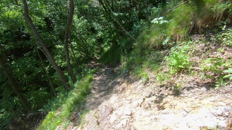Monte Zucco da San Pellegrino Terme – Discesa con anello – foto 17
