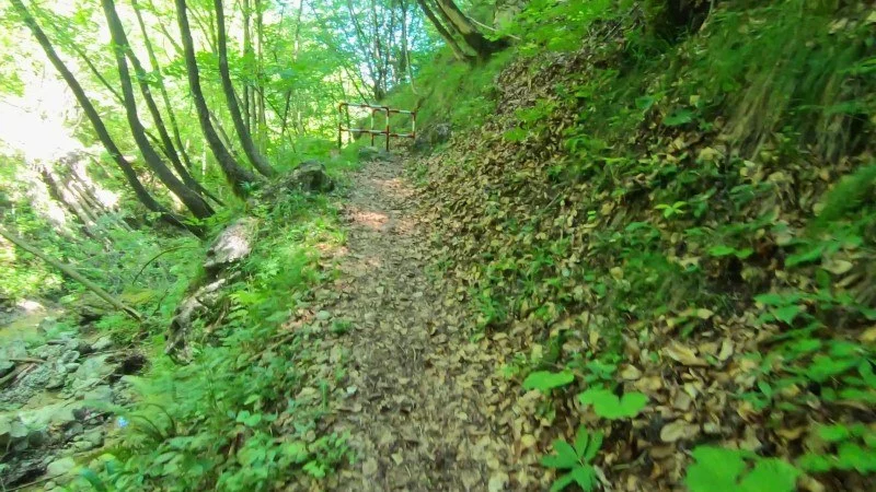 Monte Zucco da San Pellegrino Terme – Discesa con anello – foto 18