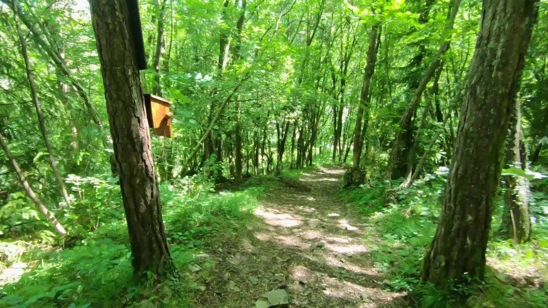 Monte Zucco da San Pellegrino Terme – Discesa con anello – foto 19