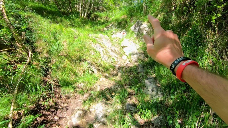 Monte Zucco da San Pellegrino Terme – Sentiero – foto 17