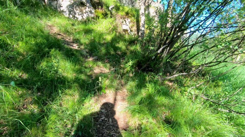 Monte Zucco da San Pellegrino Terme – Sentiero – foto 19