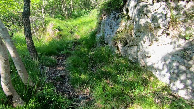 Monte Zucco da San Pellegrino Terme – Sentiero – foto 20