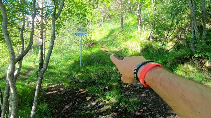 Monte Zucco da San Pellegrino Terme – Sentiero – foto 21