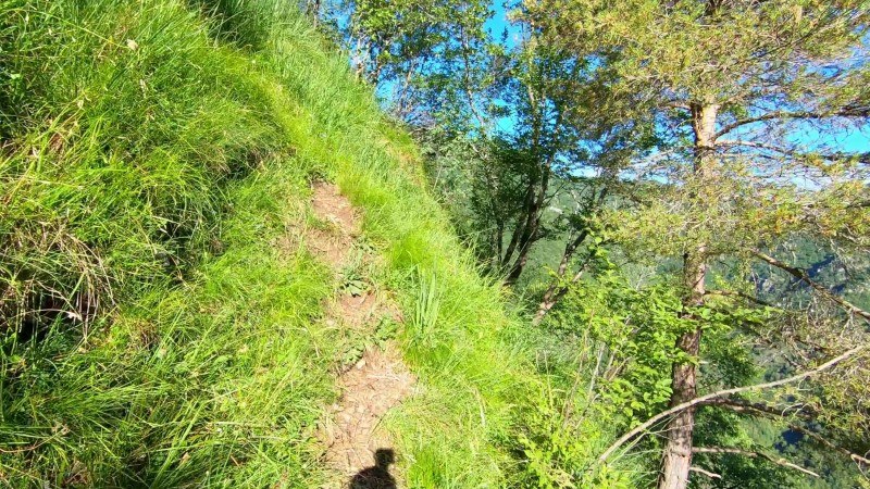 Monte Zucco da San Pellegrino Terme – Sentiero – foto 23
