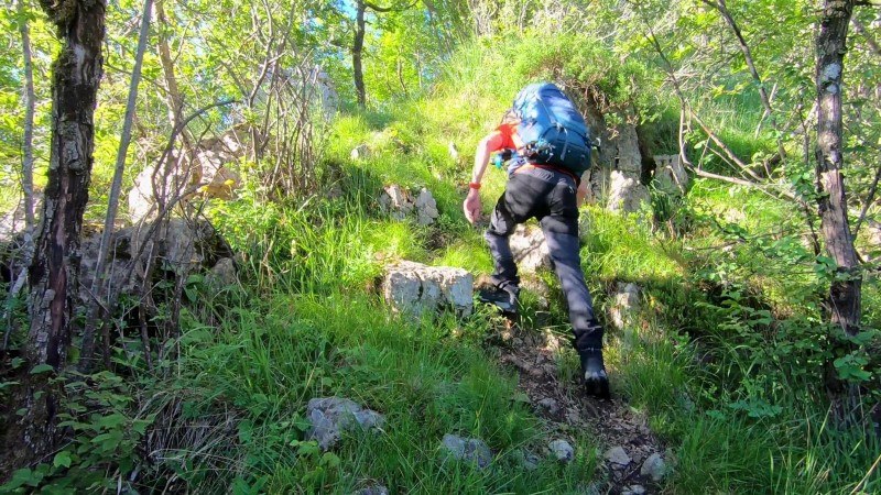 Monte Zucco da San Pellegrino Terme – Sentiero – foto 24