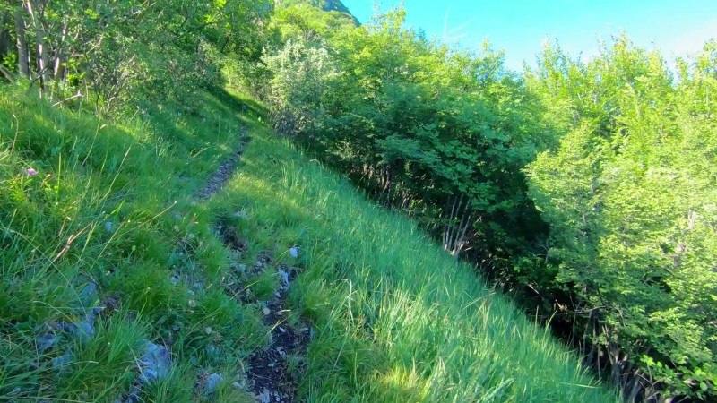 Monte Zucco da San Pellegrino Terme – Sentiero – foto 28
