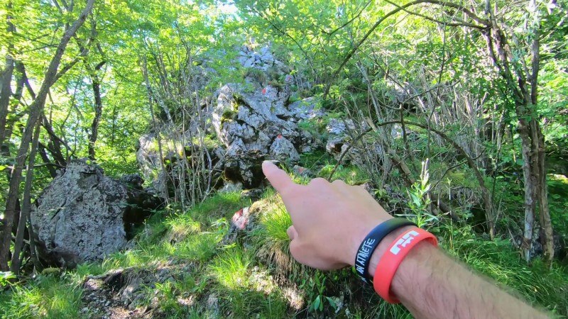 Monte Zucco da San Pellegrino Terme – Sentiero – foto 29