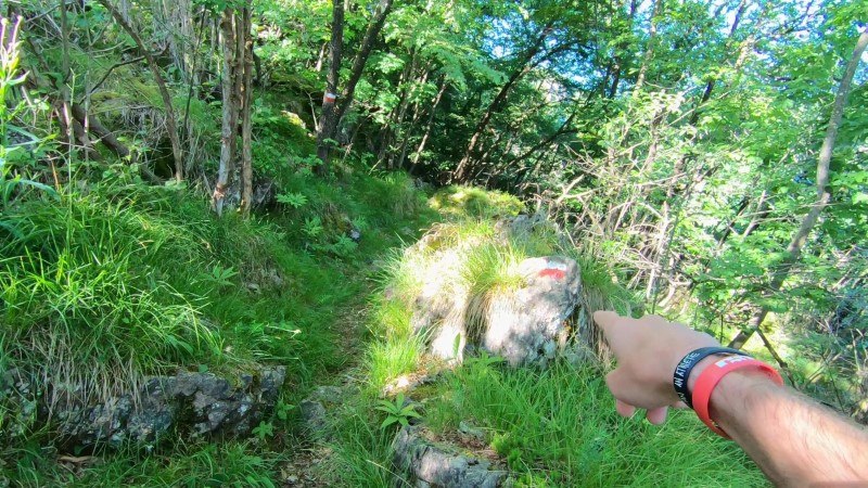 Monte Zucco da San Pellegrino Terme – Sentiero – foto 30