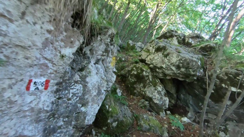 Monte Zucco da San Pellegrino Terme – Sentiero – foto 31