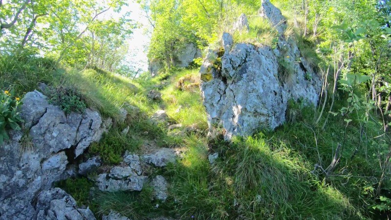 Monte Zucco da San Pellegrino Terme – Sentiero – foto 35