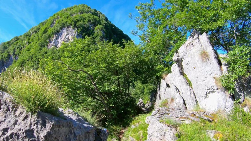 Monte Zucco da San Pellegrino Terme – Sentiero – foto 36