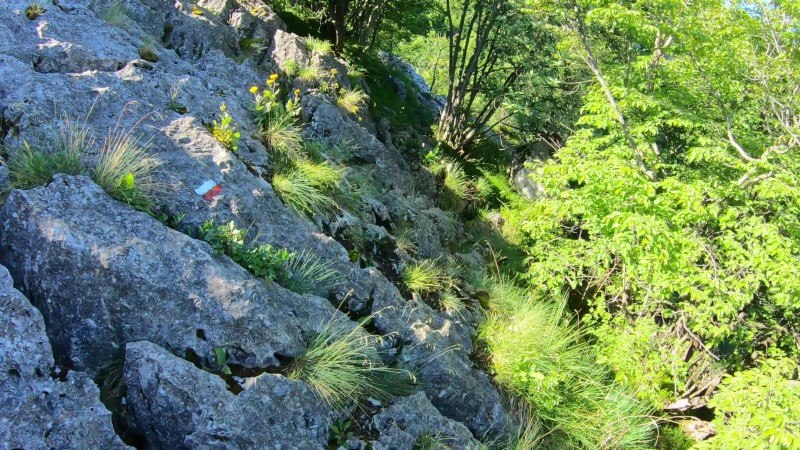 Monte Zucco da San Pellegrino Terme – Sentiero – foto 37