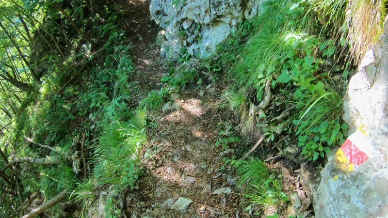 Monte Zucco da San Pellegrino Terme – Sentiero – foto 39