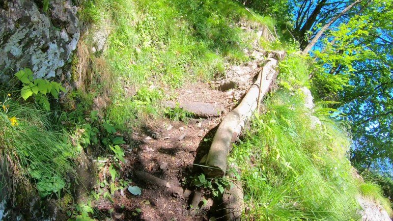 Monte Zucco da San Pellegrino Terme – Sentiero – foto 40