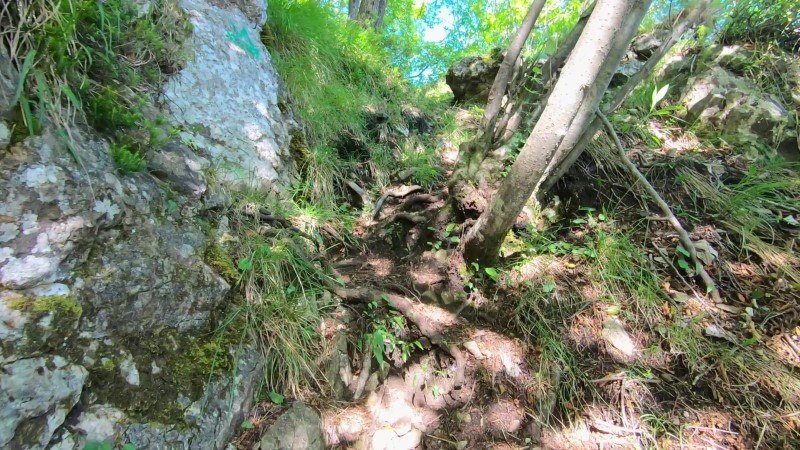Monte Zucco da San Pellegrino Terme – Sentiero – foto 41